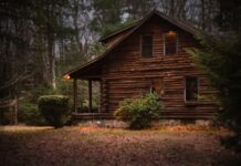Træhus på din næste ferie? Brunt træhus ude i skoven med lys fra vinduerne