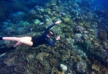 Person svømmer rundt om koralrev med snorkel