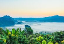 Thailand – en hyppig feriedestination thailand-jungle