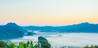 Thailand – en hyppig feriedestination thailand-jungle