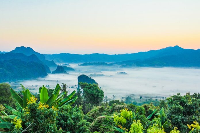 thailand-jungle thailand-jungle