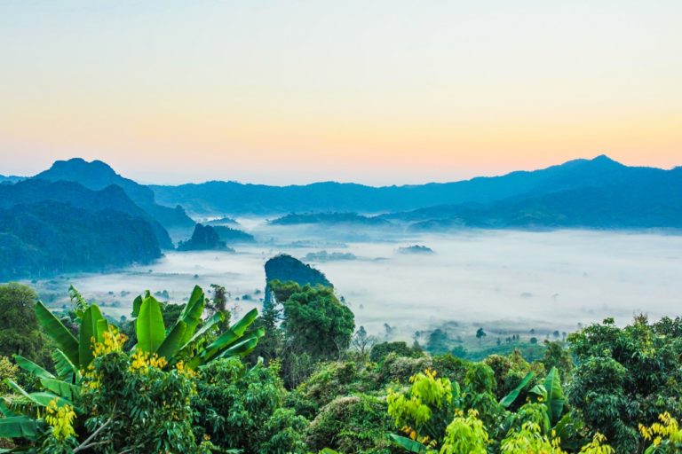 thailand-jungle